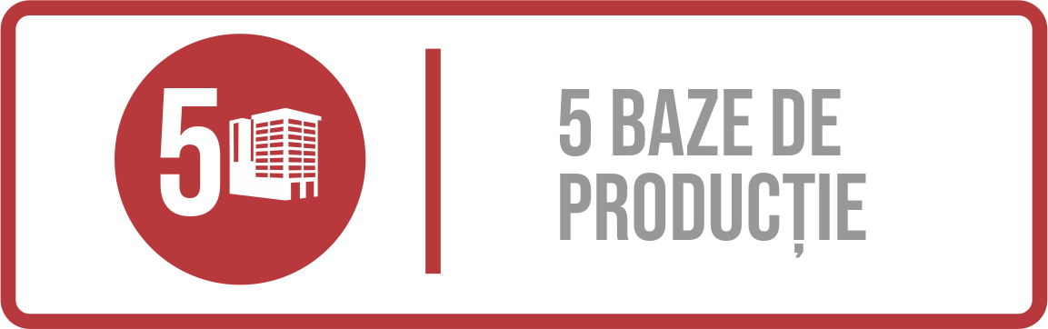 5 baze de producție